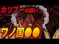 花の国 ワンピース 175353