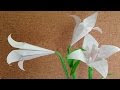 √1000以上 ゆりの花 画像 222780-ユリの花 画像 素材