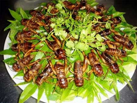 Đê mê đầu lưỡi dế chiên giòn, Ẩm thực, 