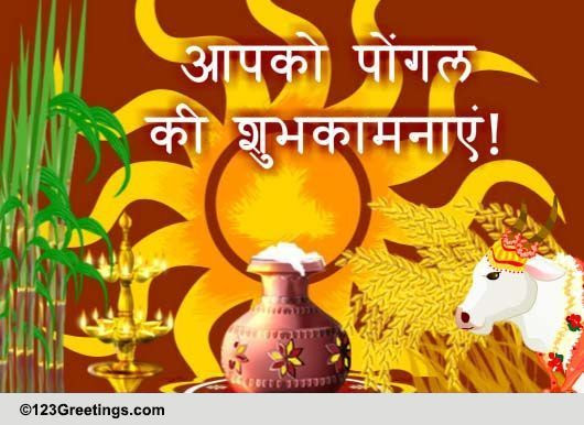 Pongal Ka Utsah Free Pongal eCards, Greeting Cards 