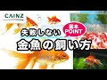 金魚 ブクブクなし 1日 659973-金魚 ブクブクなし 1日