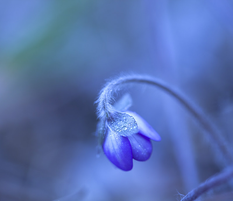 500px favs, rg443