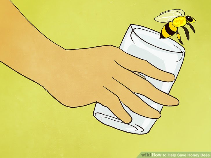 Help Save Honey Bees Step 11.jpg