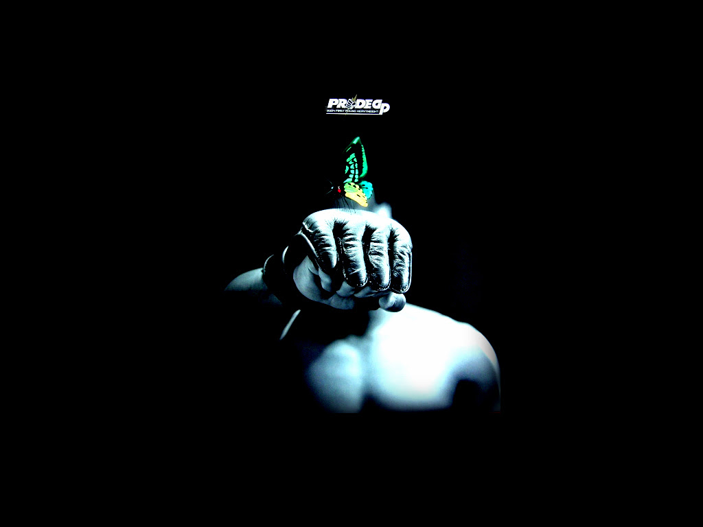 Mma Wallpaper 1024x768 56487