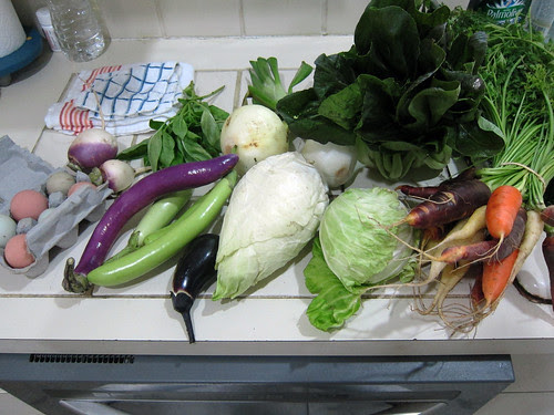 CSA Week 12