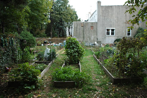 Individual Plots, East 4th Street Community Garden