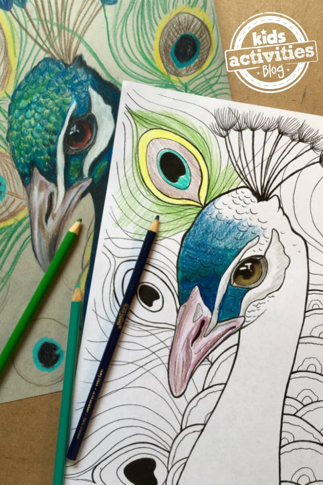 peacock_featured