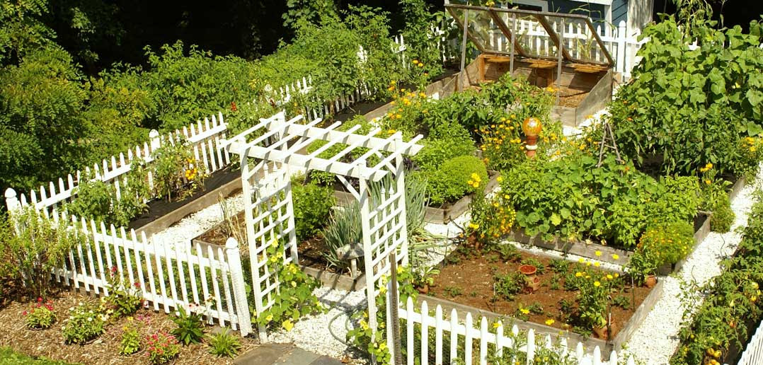 A to Z Outdoor Design Guide: Vegetable Patch - Movato A to Z Outdoor Design Guide: Vegetable Patch - Movato on Veggie Patch Design
id=12774