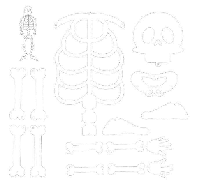 Cut Out Printable Skeleton Bones