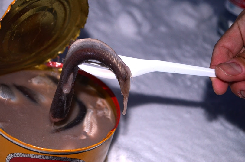 世界一臭い食べ物 シュールストレミングを本場スウェーデンで食べてみた