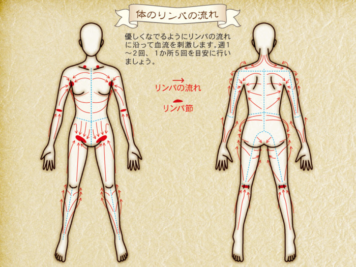 カッサ かっさ マッサージ 全身スッキリマップ 体編 使い方 石卸屋 Webショップ