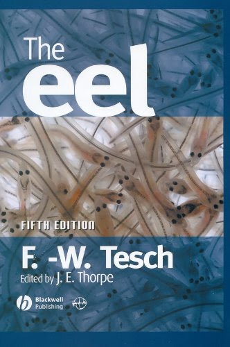 The Eel, by Frederich W. Tesch, Ray J. White