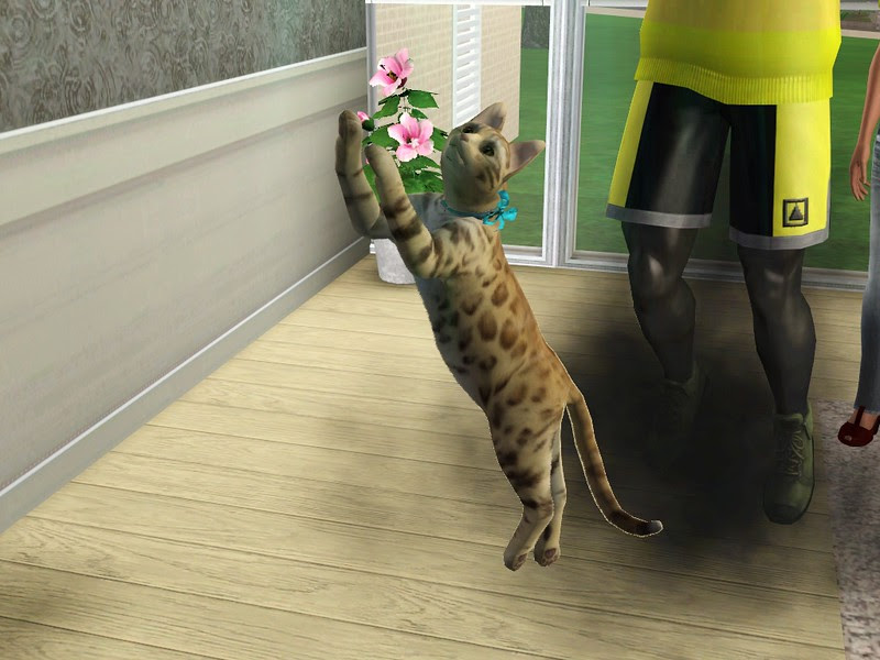 Screenshot-3923