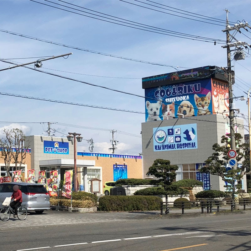 猫カフェなら猫喫茶空陸家 静岡 静岡sbs通り店