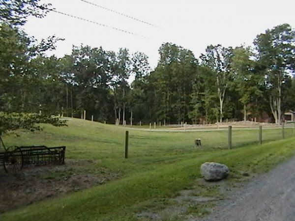 Peeper Creek Paints