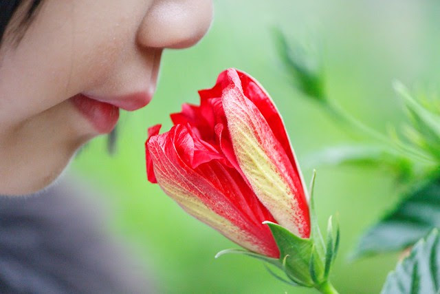 Smell | Puiki is smelling | By: Dennis Wong | Flickr ...