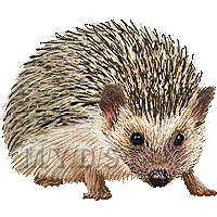 針鼠 ハリネズミのイラスト 条件付フリー素材集