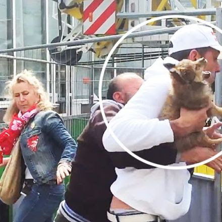 Puppy taken from homeless man by animal rights activists
