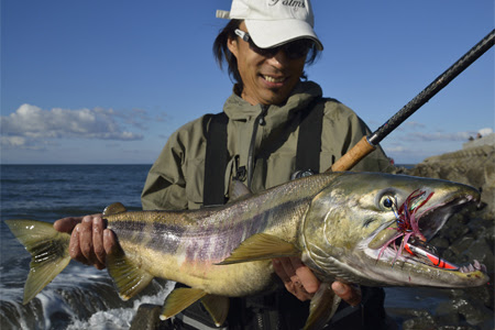 レラカムイ サーモンカテゴリーの開発について Blog Angler S Republic