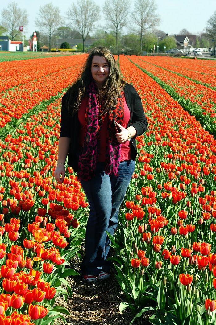Blog  Netherlands flowers