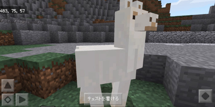 マインクラフトpc Pe ラマの繁殖の仕方とオシャレの方法を解説 マイクラモール