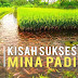 PEMELIHARAAN IKAN DENGAN SISTEM MINA PADI