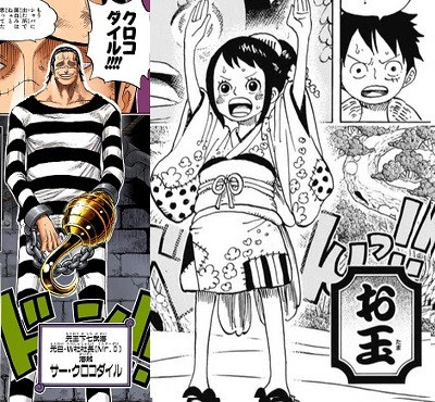 ワンピース お玉 クロコダイル説ｗｗ 考察 ねいろ速報さん