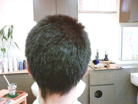 男性縮毛矯正 写真集