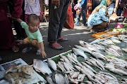 Ketahui Gambar Ikan Kecil Di Sungai, Terupdate!
