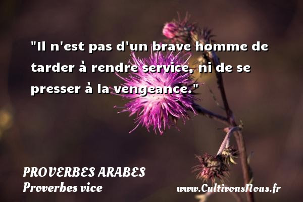 Proverbes Arabes Sur La Vie