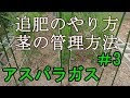 √1000以上 アスパラ 育て方 229331-アスパラ 育て方 プランター