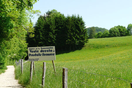 P1020680