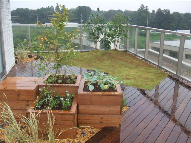 株式会社クレアテラネットワーク 屋上緑化 壁面緑化 施工事例検索結果