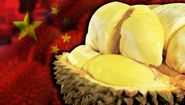 durian-china