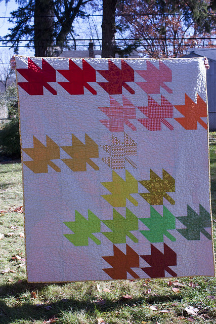 Modern Maples Quilt