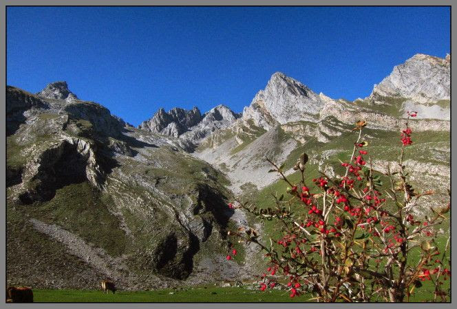  photo IMG_5138_zps6fkxmmxz.jpg