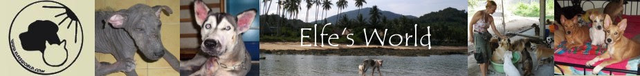 elfesworld
