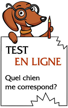 Croquettes Amikinos Reference Et Essential Avis Sur La Composition