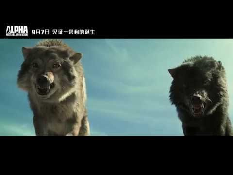 Alpha Movie Subtitle Url