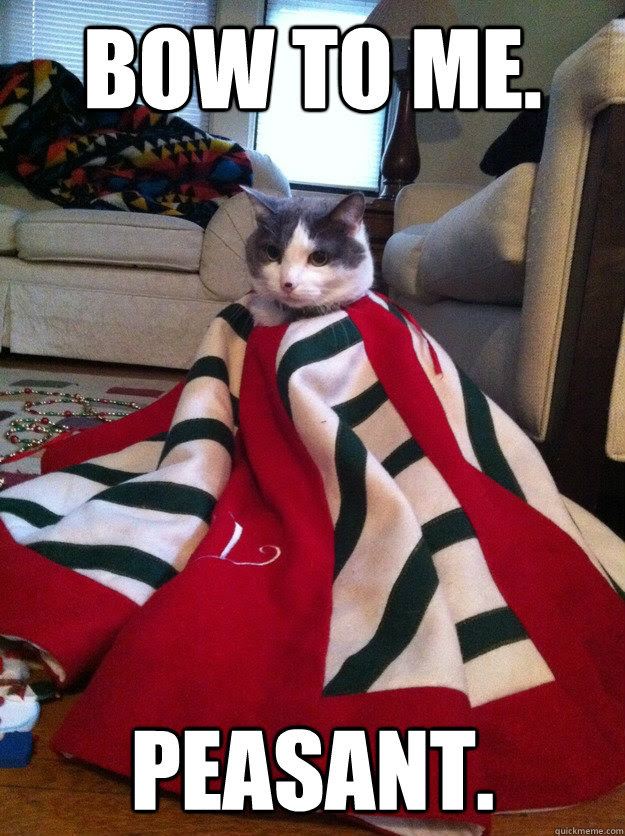 Bow To Me Peasant Christmas Cat Quickmeme