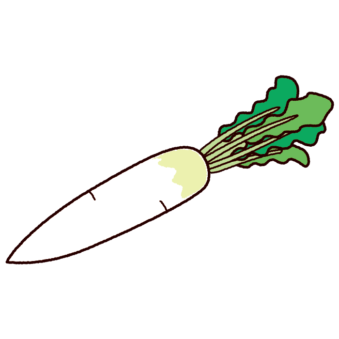 野菜のイラスト 大根 イラストくん
