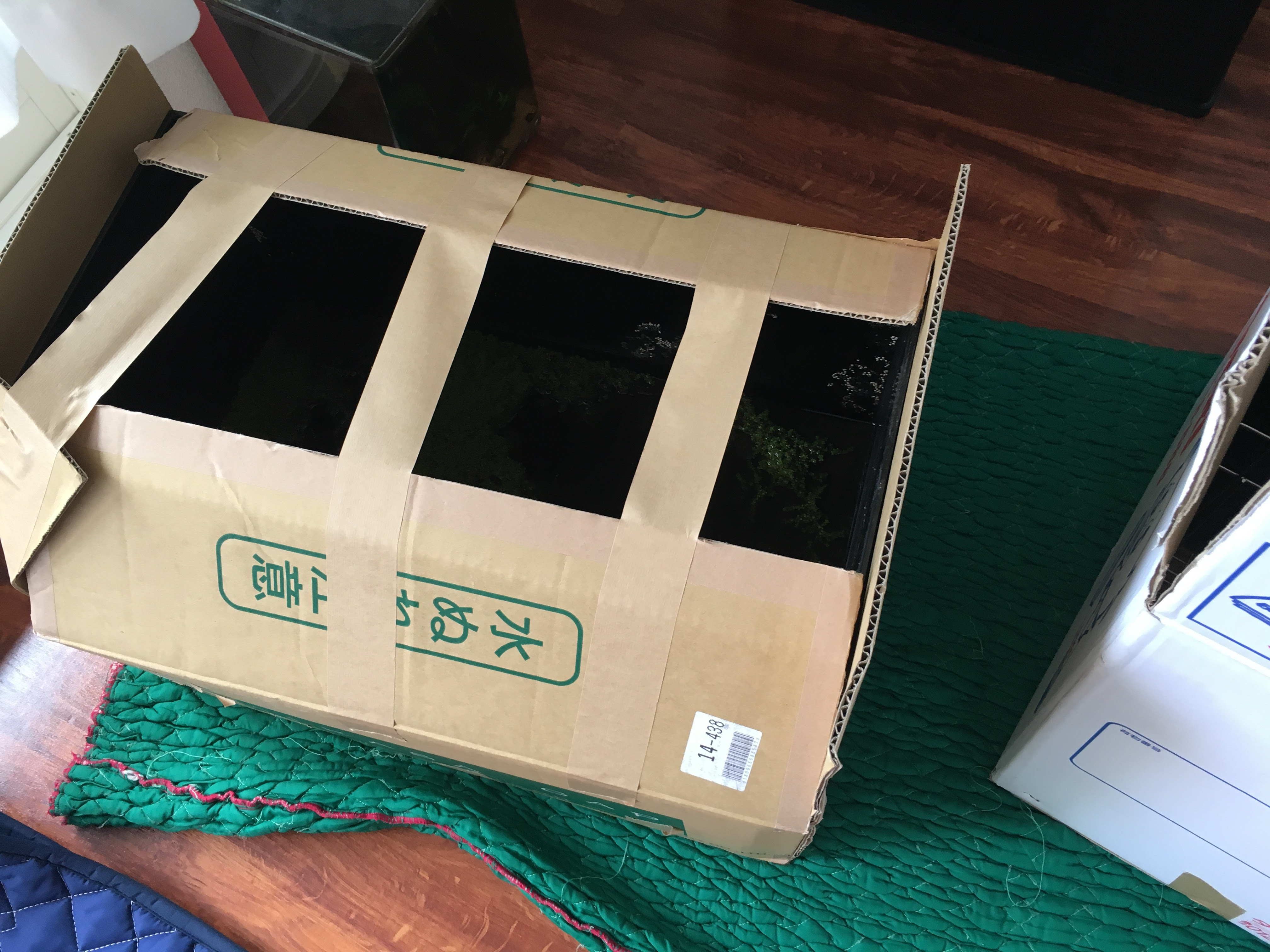 レイアウトを維持した状態で水槽を引っ越しする方法 事前に準備しておきたい事