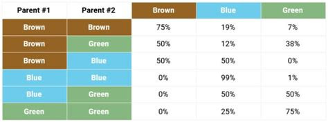 45 percent · blue eyes: eye color chart all about vision