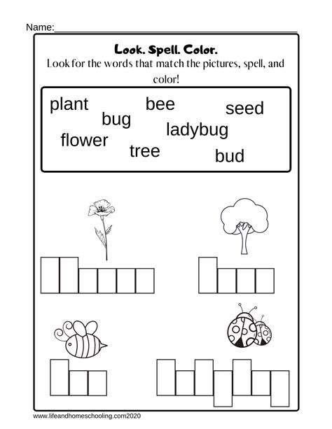 Worksheets are a very important part of learning english. kindergarten spelling worksheet made by teachers