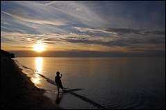 The Last One in the Lake