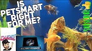 petco fish Is Petsmart and Petco right for me?