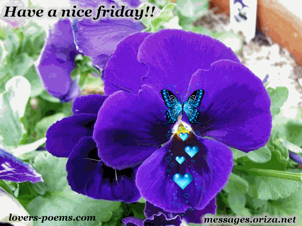 funny good morning quotes. Funny Good Morning Quotes;