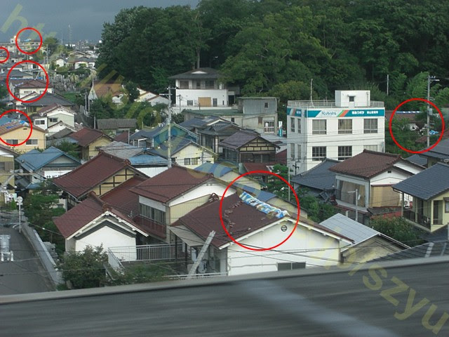 東日本大震災與日本社會 1 梅と桜 日本台湾年軽人的事情