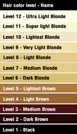 Hair Color Levels The Crimson Mane