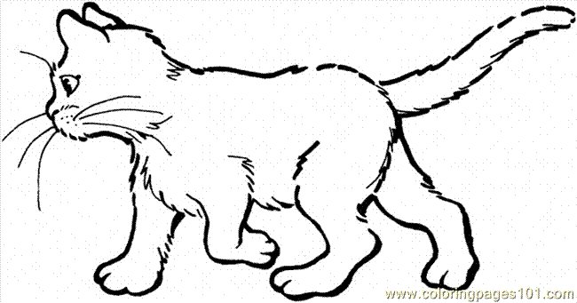 free free printable cat pictures download free clip art